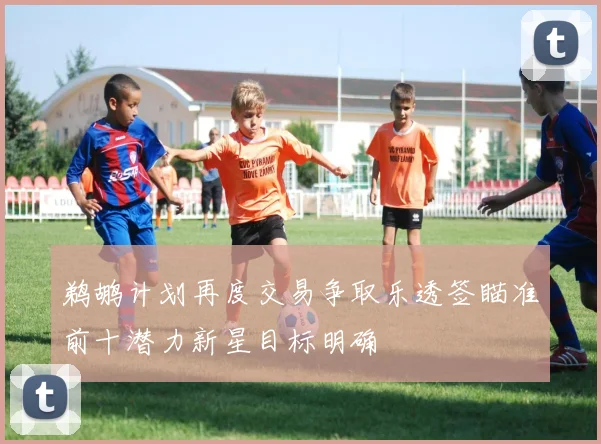 鹈鹕计划再度交易争取乐透签瞄准前十潜力新星目标明确