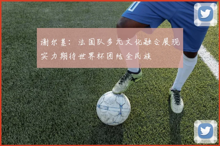 谢尔基：法国队多元文化融合展现实力期待世界杯团结全民族