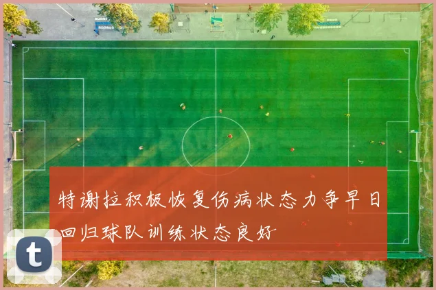 特谢拉积极恢复伤病状态力争早日回归球队训练状态良好